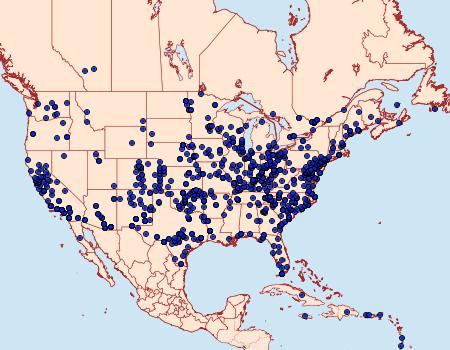 Distribution Data for Helicoverpa zea