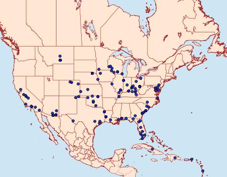 Distribution Data for Chloridea subflexa