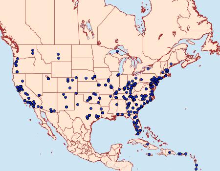 Distribution Data for Chloridea virescens