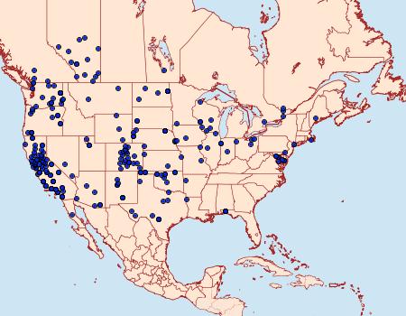 Distribution Data for Heliothis phloxiphaga