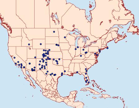 Distribution Data for Heliocheilus paradoxus