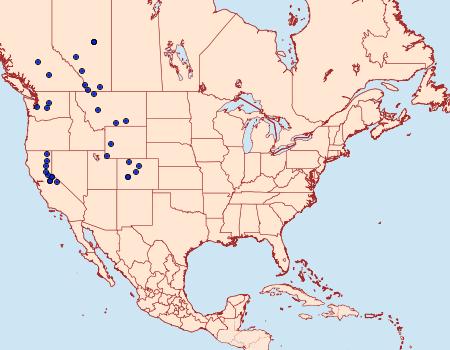 Distribution Data for Heliothis oregonica