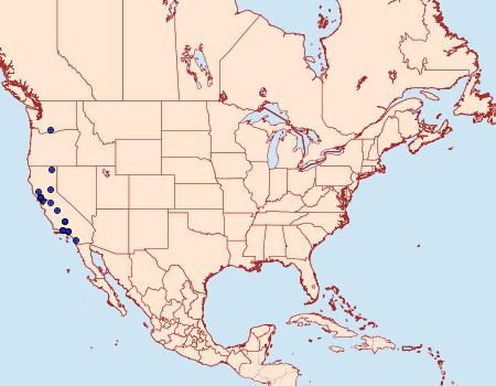 Distribution Data for Heliothis proruptus