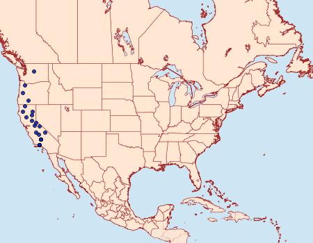 Distribution Data for Schinia vacciniae