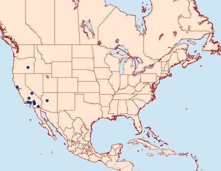 Distribution Data for Schinia aurantiaca