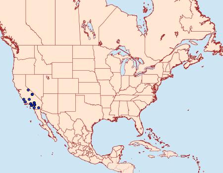 Distribution Data for Schinia scarletina