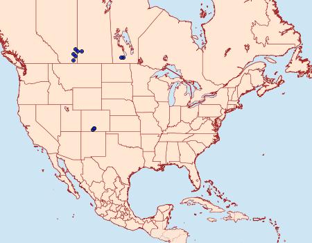 Distribution Data for Schinia avemensis