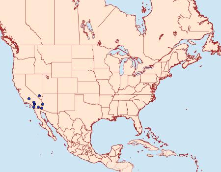 Distribution Data for Schinia dobla