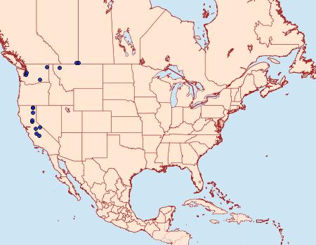 Distribution Data for Schinia honesta