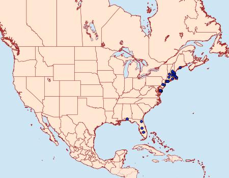 Distribution Data for Schinia spinosae