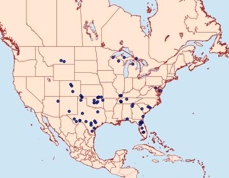 Distribution Data for Schinia bina