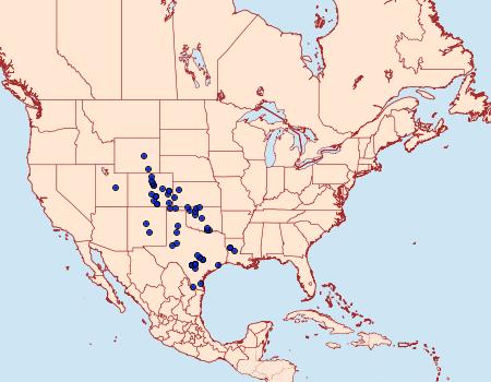 Distribution Data for Schinia volupia