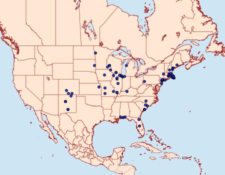 Distribution Data for Schinia septentrionalis