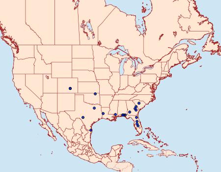 Distribution Data for Schinia petulans