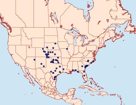 Distribution Data for Schinia siren