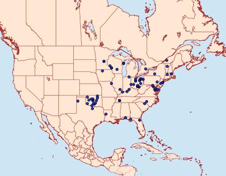 Distribution Data for Schinia obscurata