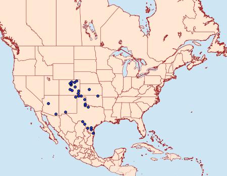 Distribution Data for Schinia bicuspida