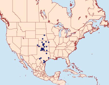 Distribution Data for Schinia ultima