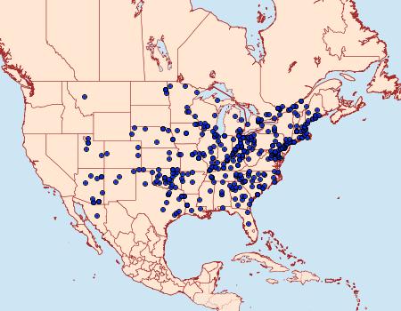 Distribution Data for Schinia arcigera