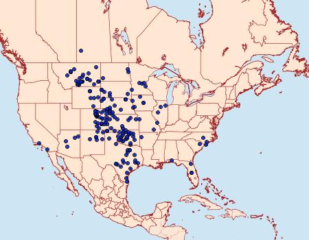 Distribution Data for Schinia jaguarina