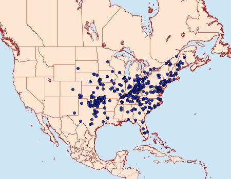 Distribution Data for Schinia rivulosa