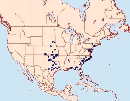 Distribution Data for Schinia nubila