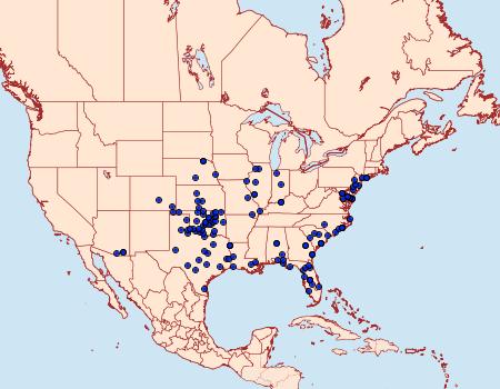 Distribution Data for Schinia saturata