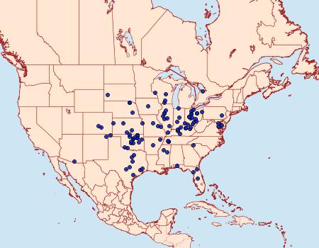 Distribution Data for Schinia thoreaui