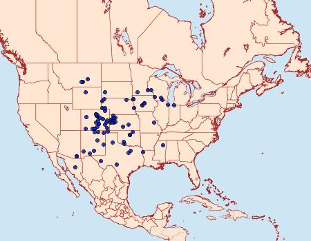 Distribution Data for Schinia grandimedia