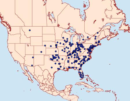 Distribution Data for Schinia trifascia