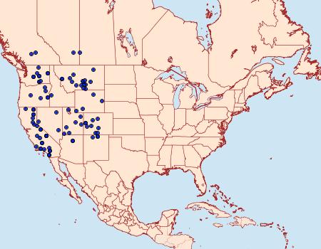 Distribution Data for Schinia acutilinea