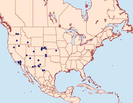 Distribution Data for Schinia sexplagiata