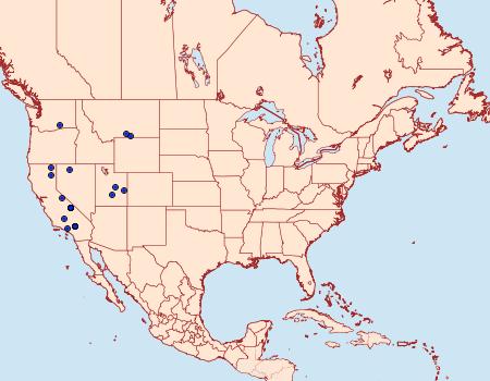 Distribution Data for Schinia biundulata