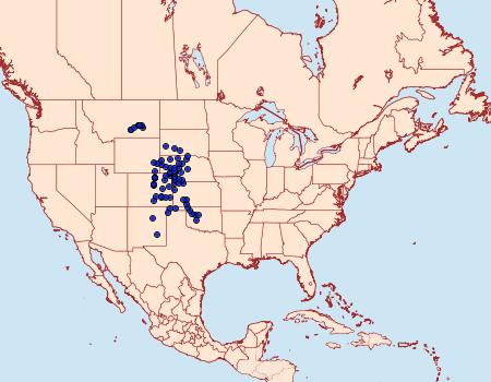 Distribution Data for Schinia simplex