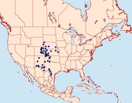 Distribution Data for Schinia regina