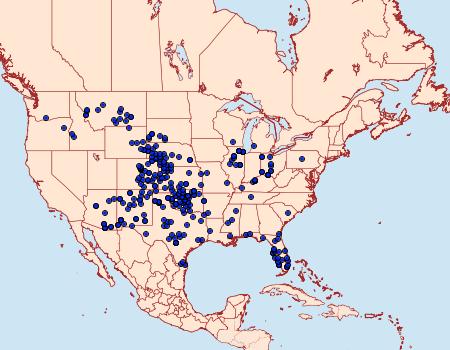 Distribution Data for Schinia gaurae