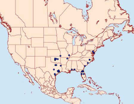 Distribution Data for Schinia mitis