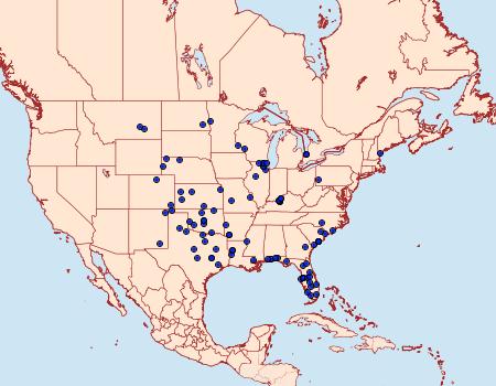 Distribution Data for Schinia sanguinea