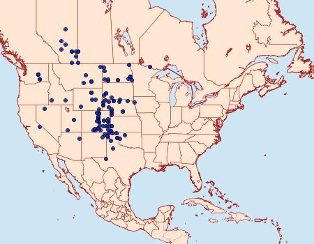 Distribution Data for Schinia meadi