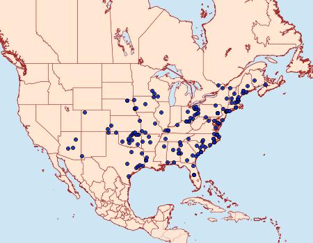 Distribution Data for Schinia nundina