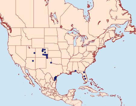 Distribution Data for Schinia diffusa