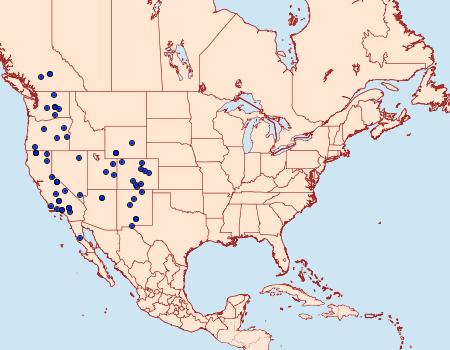 Distribution Data for Schinia walsinghami