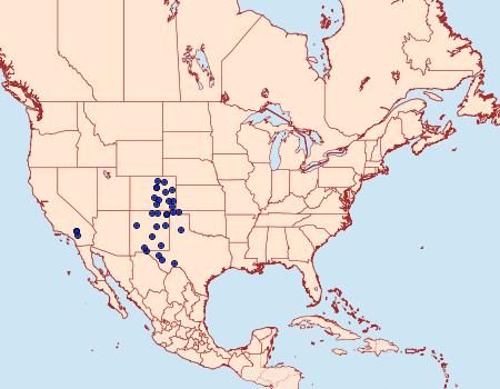 Distribution Data for Schinia coercita