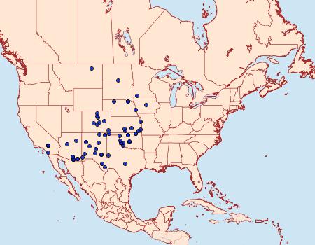 Distribution Data for Schinia hulstia