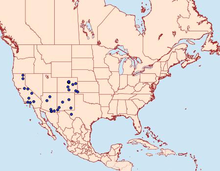 Distribution Data for Schinia obliqua