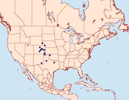 Distribution Data for Schinia chryselloides