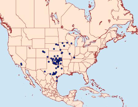 Distribution Data for Schinia chrysellus