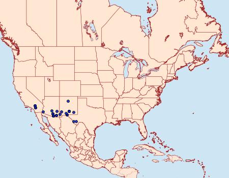 Distribution Data for Schinia luxa