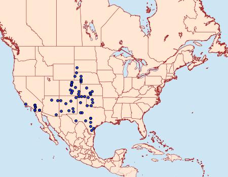 Distribution Data for Schinia citrinellus