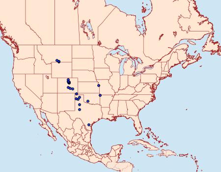 Distribution Data for Schinia snowi